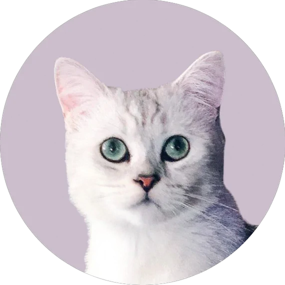 Кіт